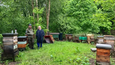 A far away shot of two staff members at the collective next to several bee hives in a woodland area.