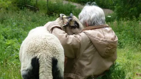 Hilary Howe A sheep nuzzles into a woman as the pair sit on a grassy hillside