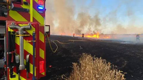A large field is on fire. Parts of the field, which was growing wheat, has been burnt. There is a fire engine on the left, and a yellow hose is leading to the blaze on the right where several firefighters are standing.