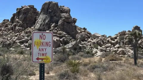 National Park Service Photo showing road sign at Joshua Tree National Park with yellow paint splatters