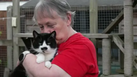 A woman with grey, short hair, wearing a red t-shirt, holds the black and white cat Spud in her arms and is kissing his head. She is standing in a garden and behind her is a large cat scratching post and climbing frame made from wood and chicken wire. It is a cloudy day.