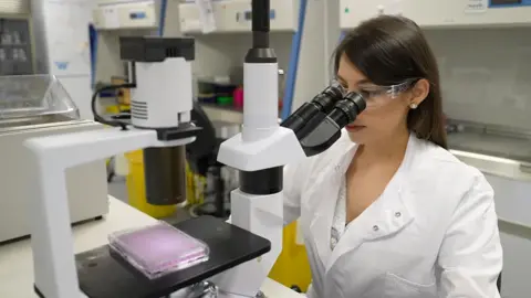 Dr Carina Kern is wearing a white lab coat and goggles. She is sitting at a worktop, looking into a microscope. The lens is focussed on a transparent tray holding dozens of tiny samples of pink liquid containing human cells.
