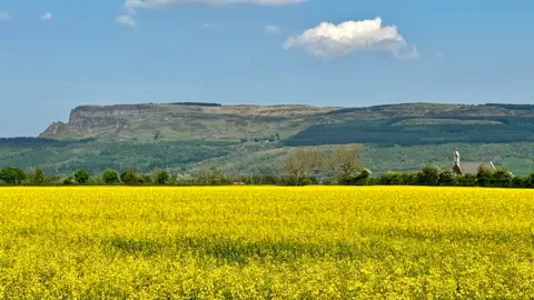 Field in Limavady, with hill in the background and blue sky with cloud.