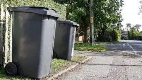 Two black bins sat on the side of a residential street with a pavement and an empty road in front of them.