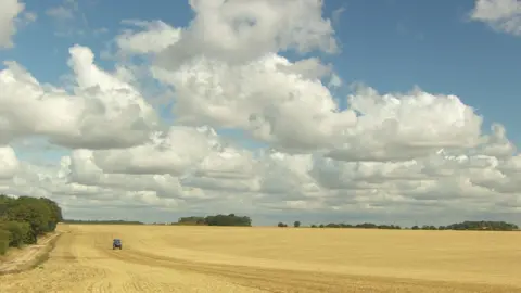 a landscape shot of farmland with harvested fields of stubble in the bottom half, a blue tractor in the far distance and a sunny but cloudy sky above.