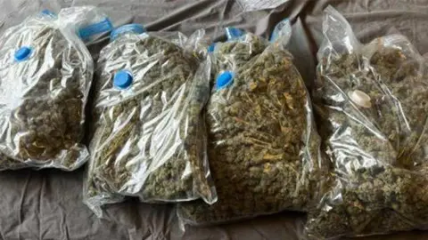 Four large clear bags of drugs seized during drugs raids by Wiltshire Police. It is believed to be cannabis. 