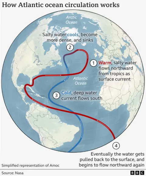 A simplified representation shows how the anotate map of North Atlantic works. The hot, salty water flows from the tropical to the north, through the Gulf of Mexico, as a surface current, as shown in red. It only cools and sinks to the south of Iceland, and flows as a deep stream to the south, shown in blue.