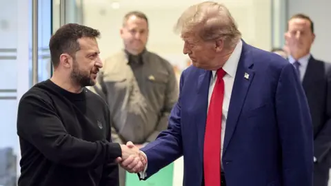 EPA Zelensky and Trump shaking hands