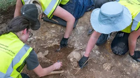 Cambridge Archaeological Unit/David Matzliach Three archaeology students leaning over a trench from which a skull and bones are emerging. They are all wearing hi-vis yellow jackets. They each have one outstretched hand and are carefully exposing the remains. 