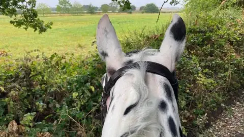 The picture is taken on horseback in the countryside.  The neck of the horse can be seen and its ears are pricked up.