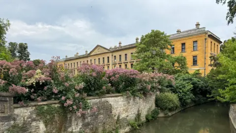 EstherJ A yellow stone building with trees and pink flowers next to a river. 