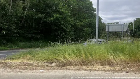 Matt Marvel/BBC The highway verge in 2023 around the Seven Hills Interchange