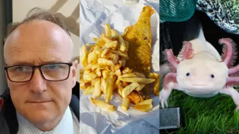Montage: MP Neil Hudson wearing thick-rimmed, black glasses, fish and chips in white paper, a smile, pink axolotl