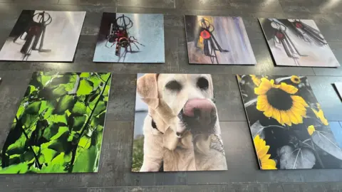 Stuart Woodward/BBC A grey wall with seven large pieces of artwork on it. The top four pieces of artwork show a set of keys in four different colour backgrounds, drawn in charcoal and watercolour. The bottom row of images shows a close-up of green leaves, backlit by the sun, then the middle image shows a golden retriever dog but the image is fragmented and distorted, and the right-hand image is a sunflower in yellow but its leaves are black instead of green.