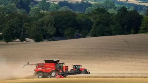 A red combine harvester and a red tractor harvesting in a large field with trees and hills in the distance