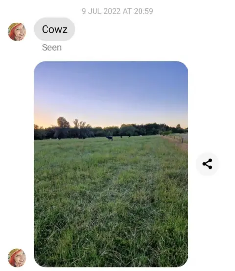 Family handout A screenshot of phone messages showing the word "cowz" and a picture of some cows in the distance in a field at sunset