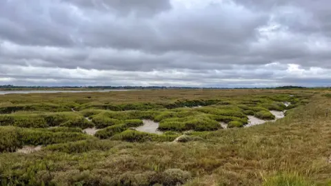 PA Media Abbotts Hall nature reserve saltmarsh