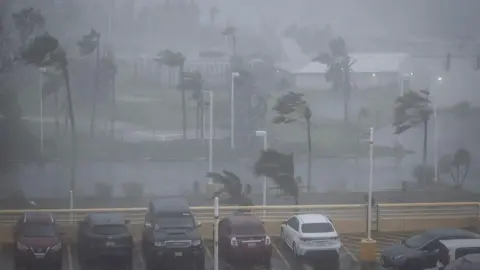 Trees are blown in strong wind and rain behind a full car park