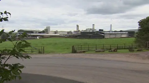 A factory complex made of grey buildings and chimneys lies in the distance behind a field and a road.