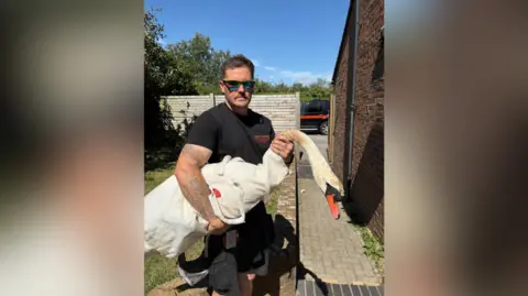 Sussex Volunteer Fire and Rescue A man from the Sussex Volunteer Fire and Rescue holding the injured swan. He has glasses on. It is a sunny day.