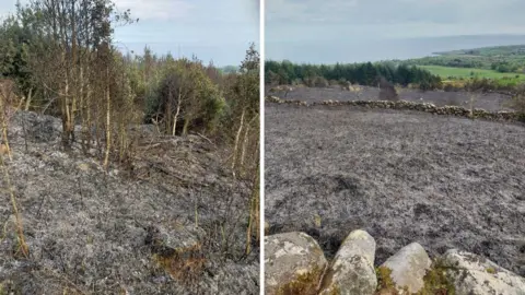 Andy Baird A side-by-side image showing fire damage to a rural landscape. On the left, scorched ground is covered in grey ash with blackened, leafless shrubs and small trees standing amid burnt undergrowth. On the right, a wide field of charred grass stretches toward a low stone wall, with green fields and rolling countryside visible beyond, highlighting the contrast between burned land and untouched areas.
