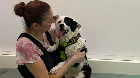Oakwood Dog Rescue A woman wearing black overalls and a pink and white tie dye top with dark hair tied into a bun is holding a black and white dog wearing a yellow harness with his tongue sticking out. They are stood in water.