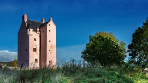 Fairburn Tower - a pink tower next to a big tree