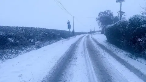 Jo Lonsdale/BBC A snow covered country road which has car tracks running down the middle. The snow is thick and the sky above is completely grey. Hedges line the side of the road.