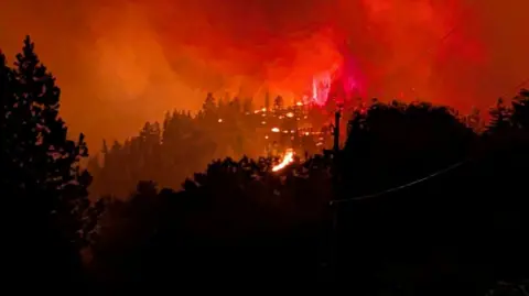 Red flames and smoke rising in night sky from hilly forest