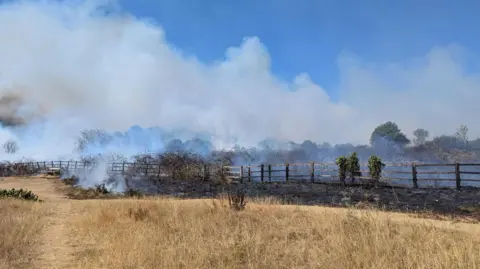 A view of fire-damaged grassland. There are large plumes of smoke coming from the grassland area. 