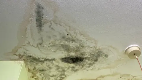 Mould in room