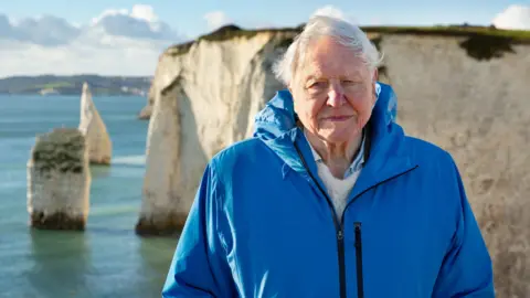 Sir David Attenborough wearing a blue raincoat standing on a coastline. The ocean and white cliffs can be seen behind him.
