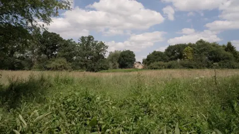 The site proposed for housebuilding in Wilmslow. It is a flat wetland area, with long, uncut grass and other plants.