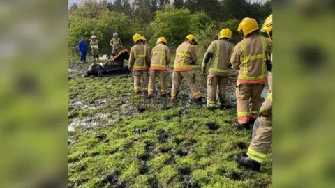 County Durham and Darlington Fire and Rescue Service Firefighters trying to free the horse from the mud