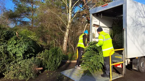 St Margaret's Hospice Two people in hi-vis coats loading a Christmas tree into the back of a white lorry. There is a pile of cut trees next to the lorry.