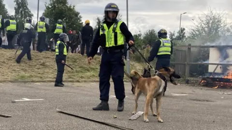 A police dog standing by a police officer with a fire in the background