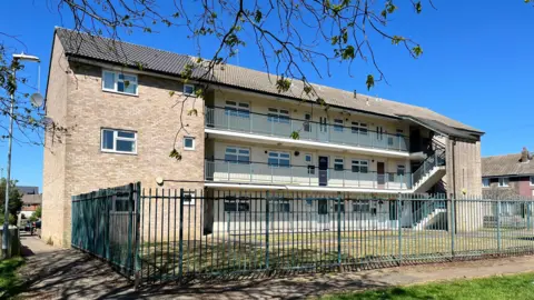 Emma Baugh/BBC A three-storey block of flats surrounded by railings, fringed by trees in the foreground.