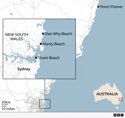 A map of the New South Wales coast in Australia showing several beaches and a wider regional view. A large inset box highlights the Sydney area, marking three beaches with black dots: Dee Why Beach to the north, Manly Beach further south, and Shark Beach near the entrance to Sydney Harbour. Sydney is labelled inland. Further up the coast outside the inset, a black dot marks Point Plomer. In the bottom right, a small inset map of Australia shows the featured region in the south east of the country.