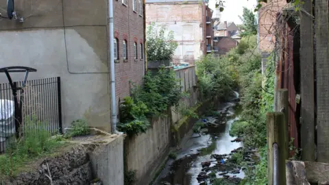 Abi Spendlove A narrow shallow stream running between stone walls in Luton, with old brick factories either side. There are shrubs cropping up out of the stone, mostly buddleias.