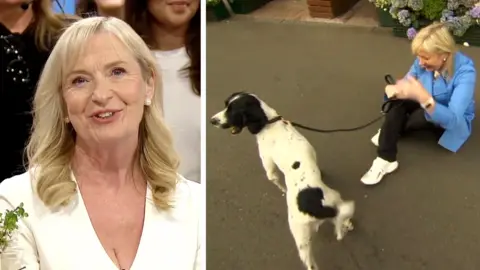 Composite image showing Carol Kirkwood on the left with Kirkwoodsaying an emotional goodbye on Breakfast show on Wednesday, with a dog on a leash and her sitting holding the leash on the right of the composite image.