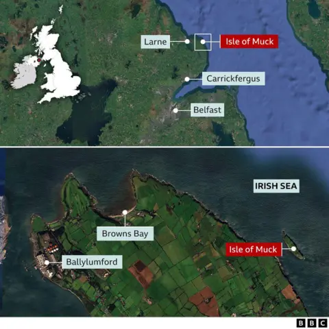 a map showing the Isle of Muck's location on the east coast of Northern Ireland, east of Larne, Browns Bay and Ballylumford and north of Carrickfergus and Belfast