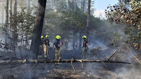 East Sussex Fire and Rescue Service Four fire fighters attending to a wildfire at a woodland.