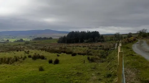 Mountains, green fields with brush and trees run alongside a narrow country lane at  Curraghinalt in County Tyrone. The sky has grey clouds with the sun breaking through.