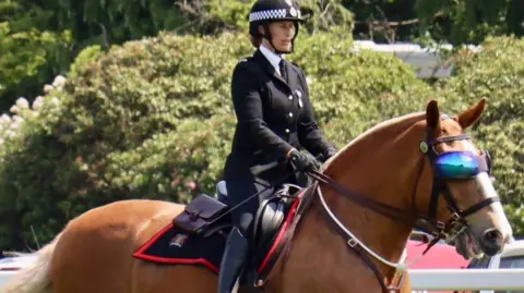 TVP Mounted Section Police horse, Luna, wearing sunglasses/goggles at Royal Ascot with her police rider on her back.
