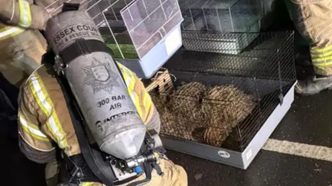 Essex Fire Service A firefighter with a large silver air cannister on their back is crouching down inside the pet shop. Several crates used for keeping pets in are scattered around in front of them.