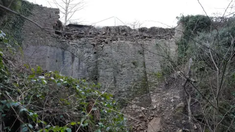 The side of a bridge showing damage to the side of it, with rubble piled at the bottom. There are leaves and branches against the side of the bridge which is made of grey stone.