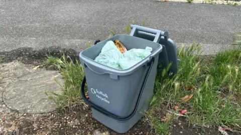 A grey food waste caddy bin which is full of rotting food on the grass next to a pavement. 