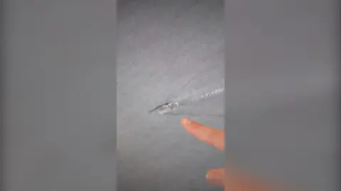 Finger pointing at image of carrier
