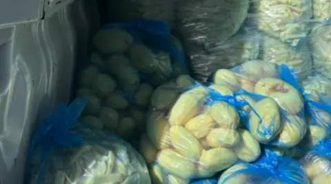 Potatoes are visible in blue bags in the foreground and more than half a dozen bags are in the background.