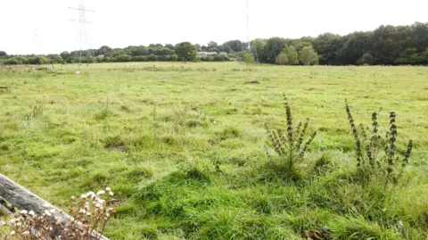 LDRS A green field can be seen with trees in the background